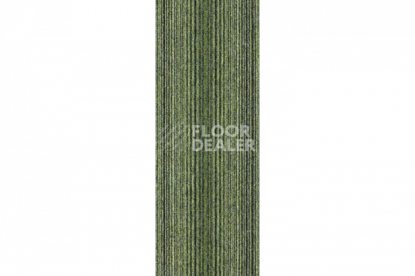 Ковровая плитка Interface Employ Dimensions 4271009 Segment фото 1 | FLOORDEALER